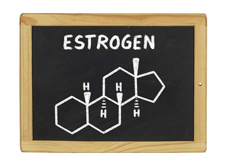 estrogen women woman note