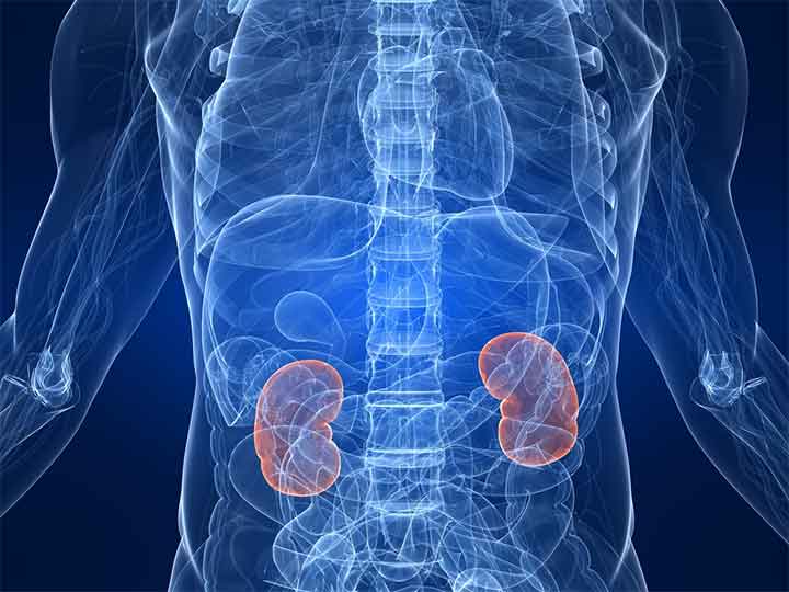 nephrology kidney specialty