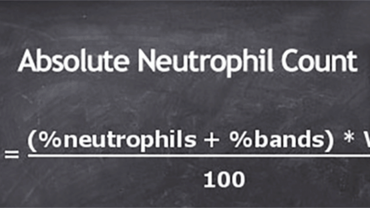 High Absolute Neutrophil Count Telegraph