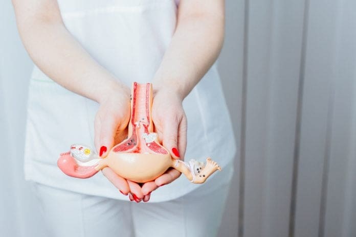 ovary
