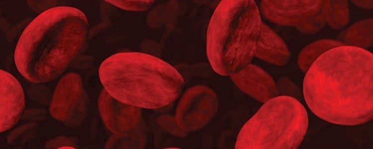 Enhancing patient outcomes with sequential compression device therapy