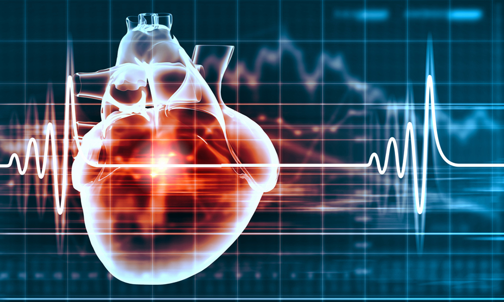 digital heart cardiogram
