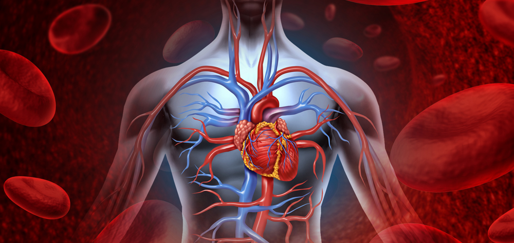 Drugs that alter blood coagulation