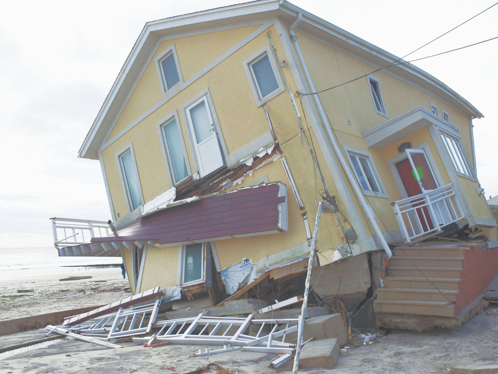 sandy picture