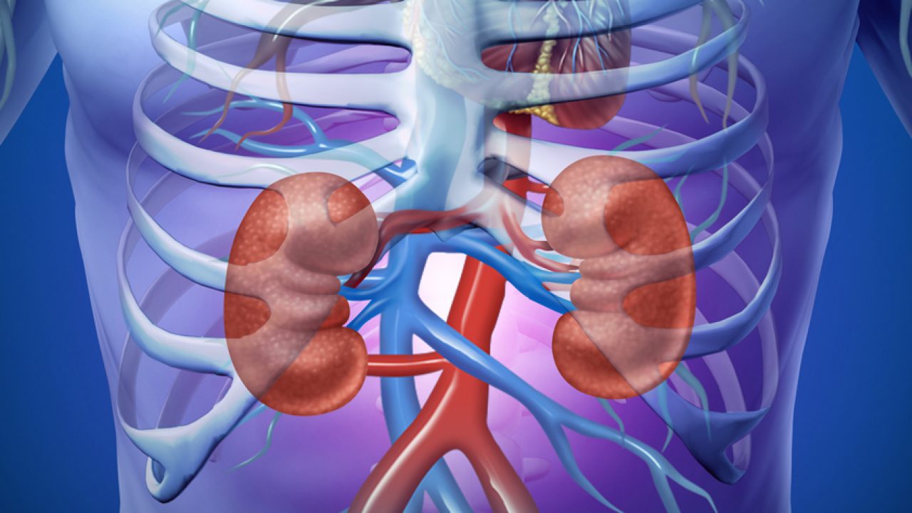 Failure acute signs of kidney Spotting The