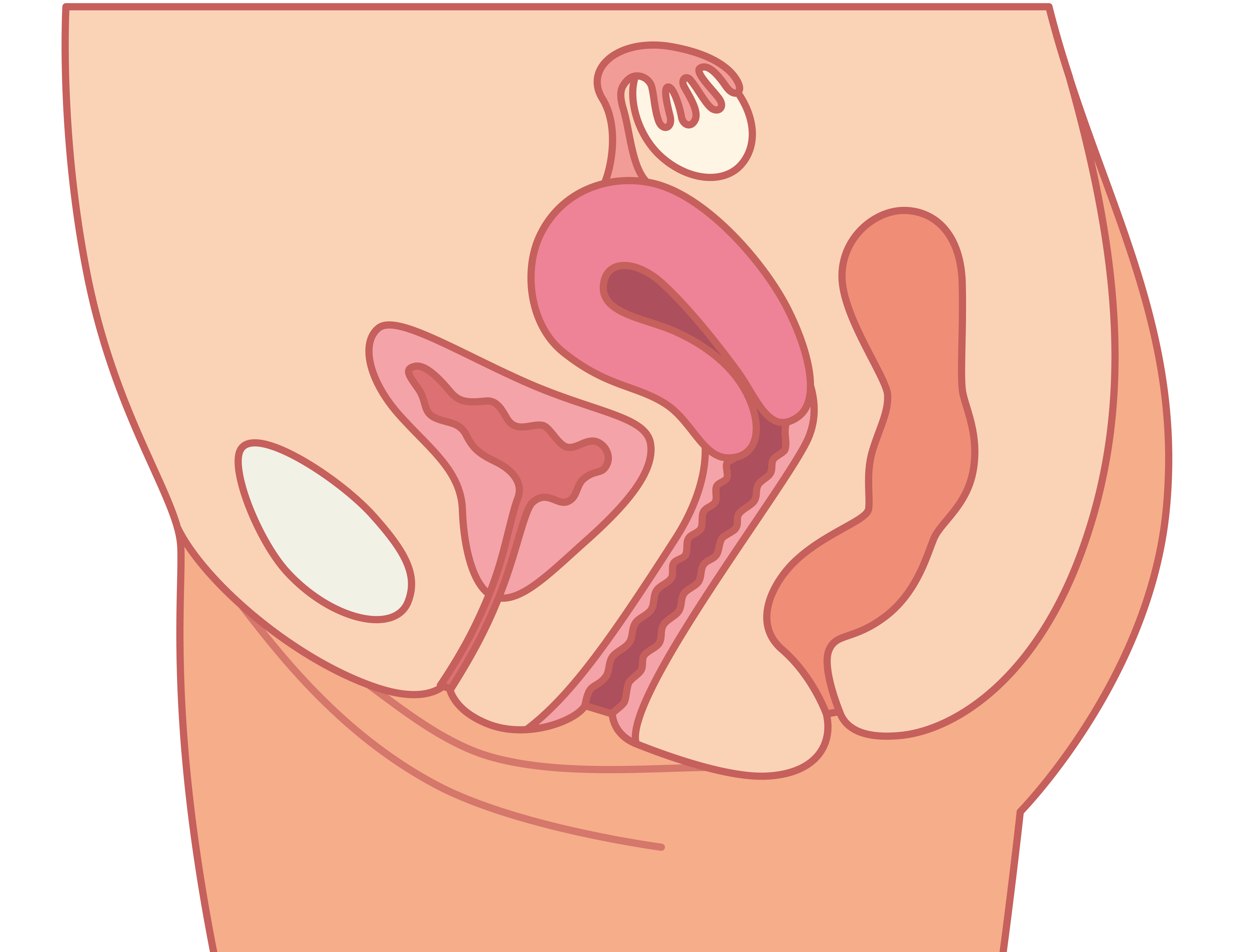 Electrical Stimulation For The Pelvic Floor - Incontinence & Prolapse