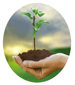 Plant Trees