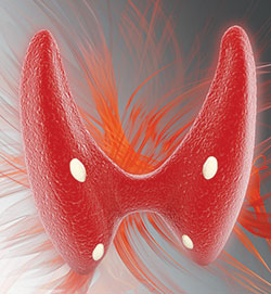 secondary hyperparathyroidism in chronic kidney disease