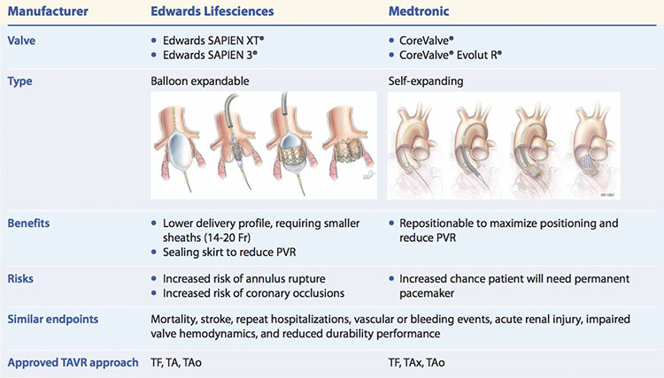 FDA-approved valves for TAVR