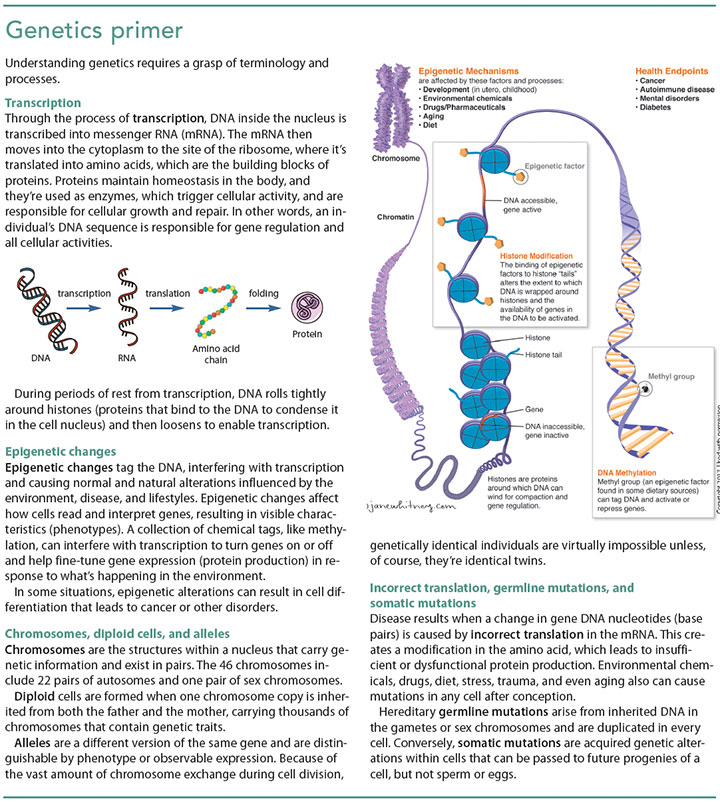 genetics clinical setting primer