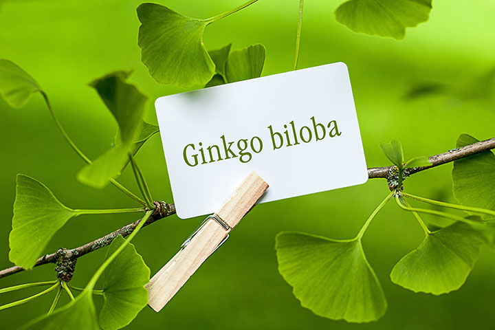 ginkgo biloba reduce cognitive decline stroke