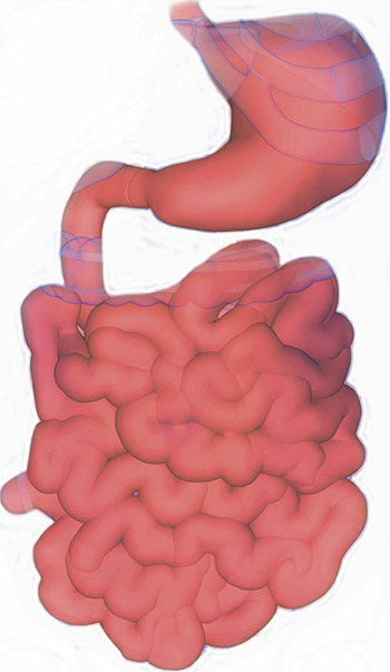 dumping syndrome cause management patient education