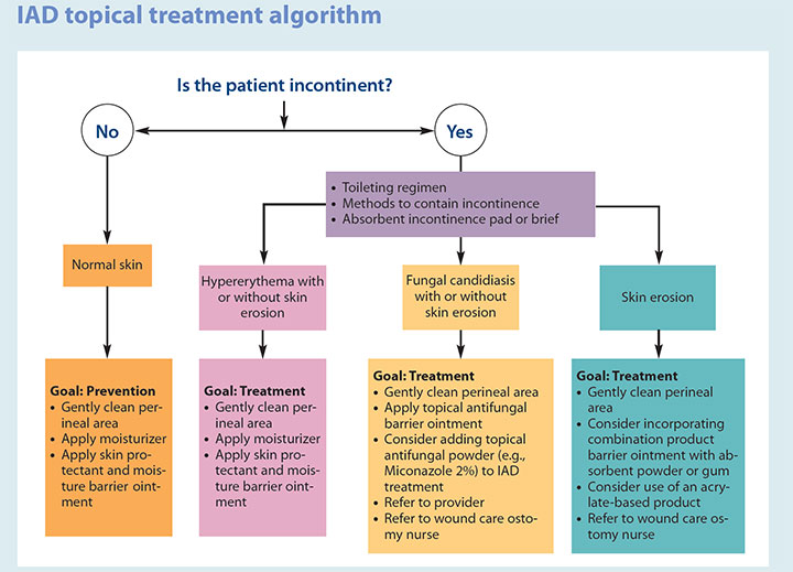 incontinence associated dermatitis management update iad topical treatment algorithm