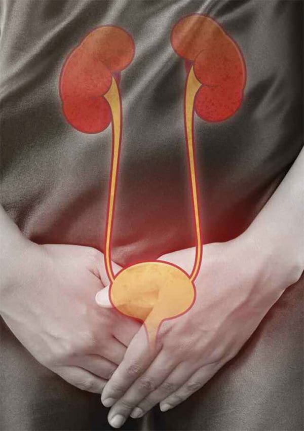 Postmenopausal women and urinary incontinence American Nurse Today