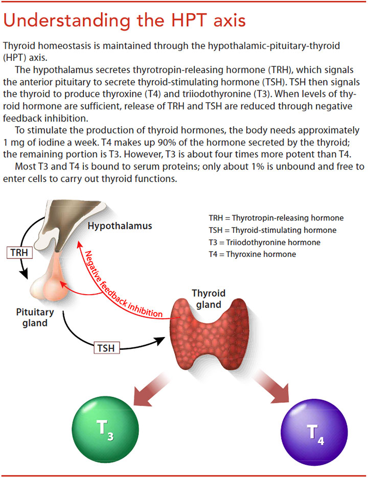 hypothyroidism nursing care understand hpt axis