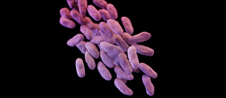 cdc fighting antibiotic resistance