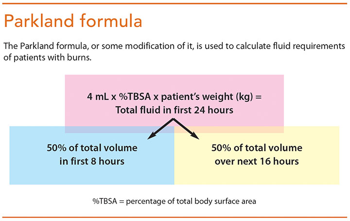 initial assessment mgmt burn patients parkland formula