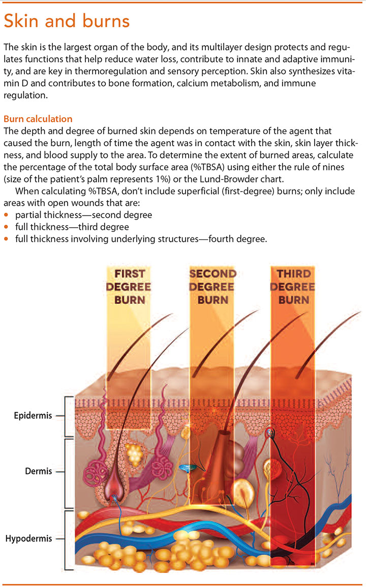 initial assessment mgmt burn patients skin