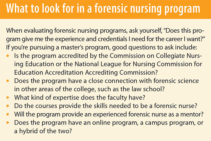 forensic nurses strides social justice program