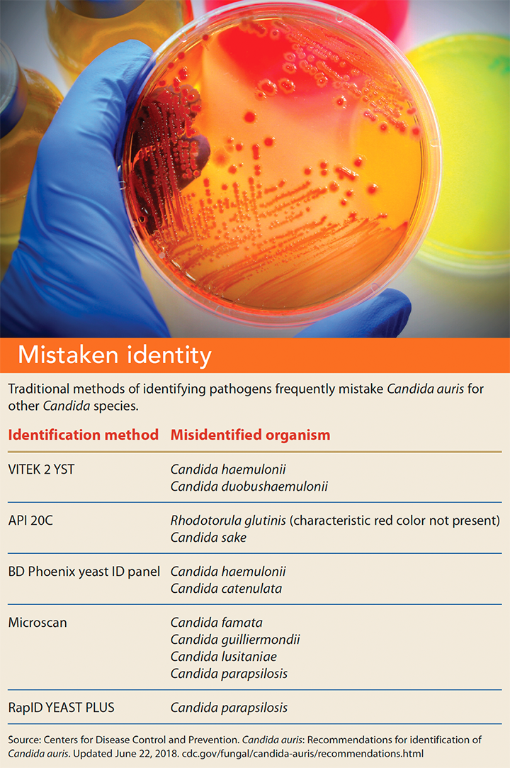 candida auris emerging threat mistaken identity