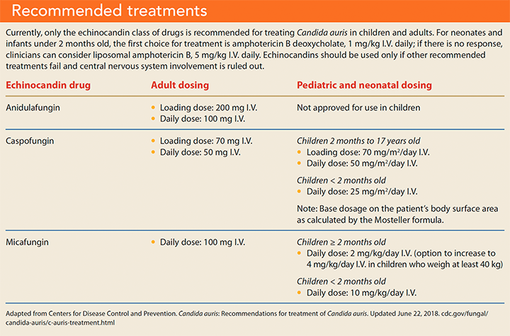 candida auris emerging threat treatments