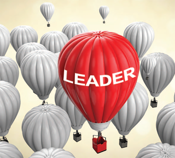 pursue leadership decision