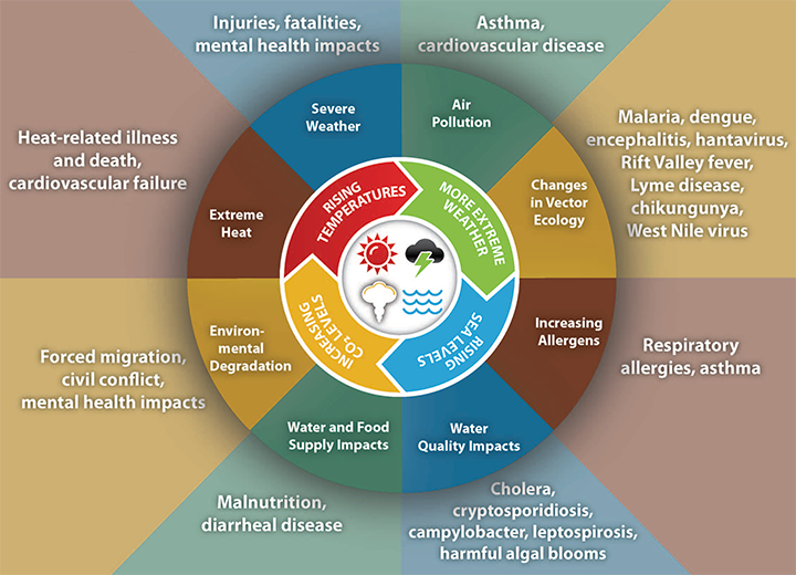 older citizens climate change imapct human health