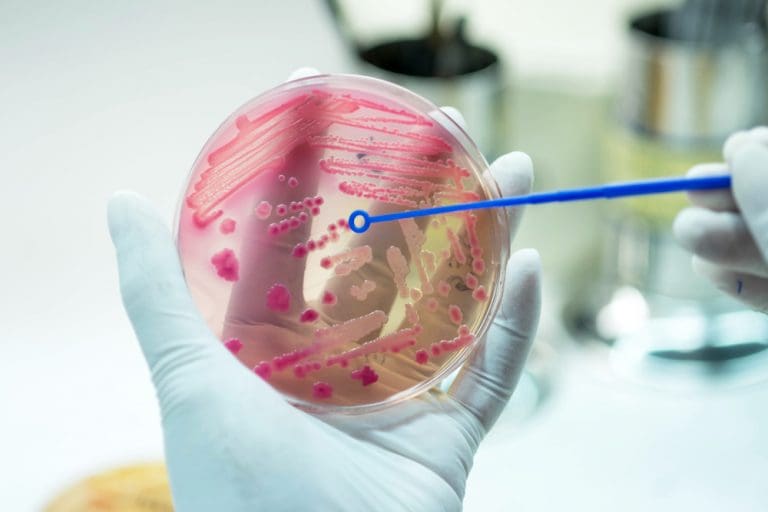 Updated guidelines for sepsis management Updated guidelines for sepsis management