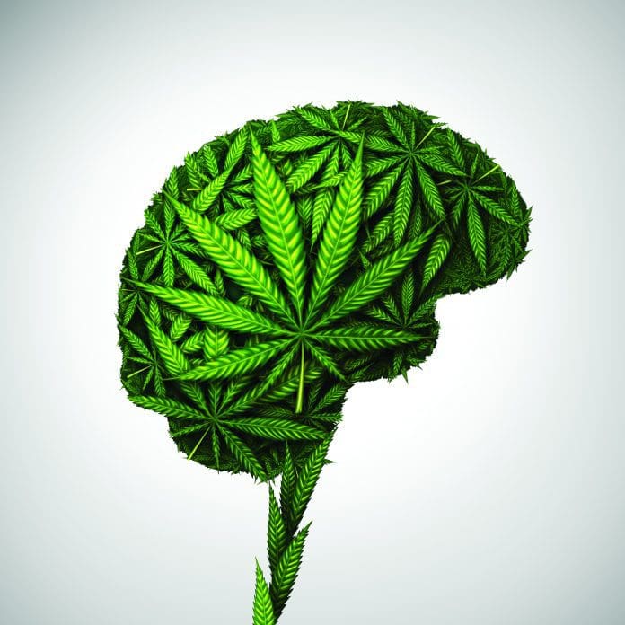 cannabis