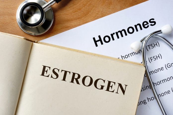 estrogen