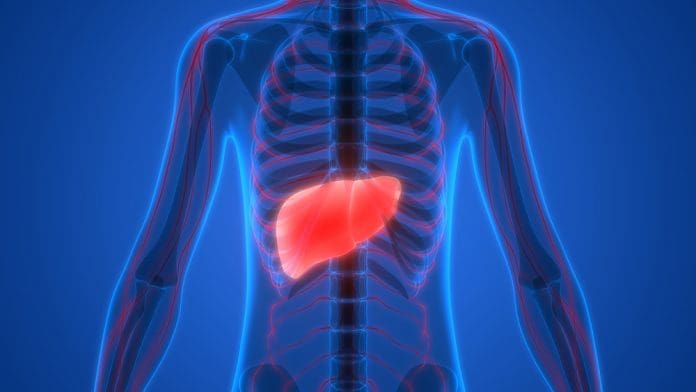 liver