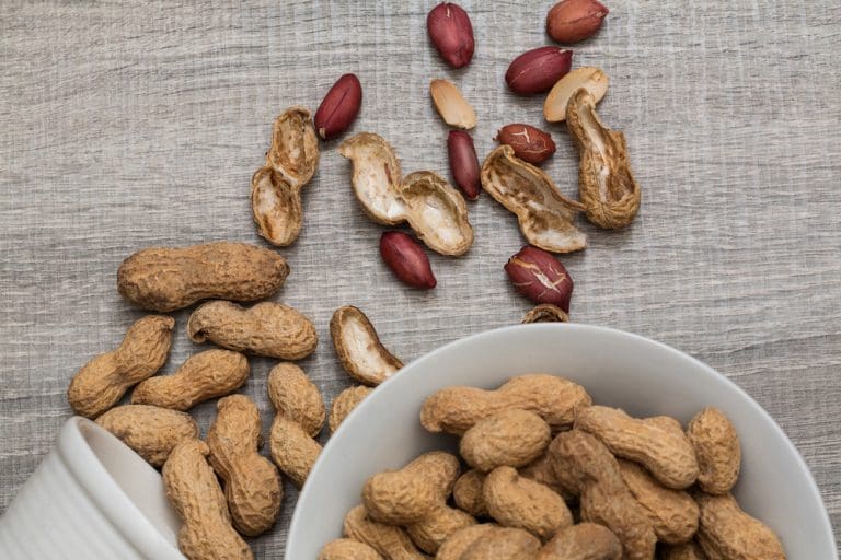 Potential new treatment for peanut allergies Potential new treatment for peanut allergies