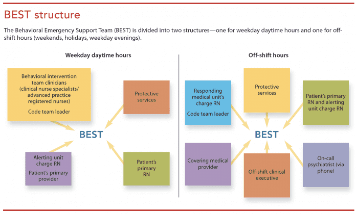 Building a successful behavioral emergency support team