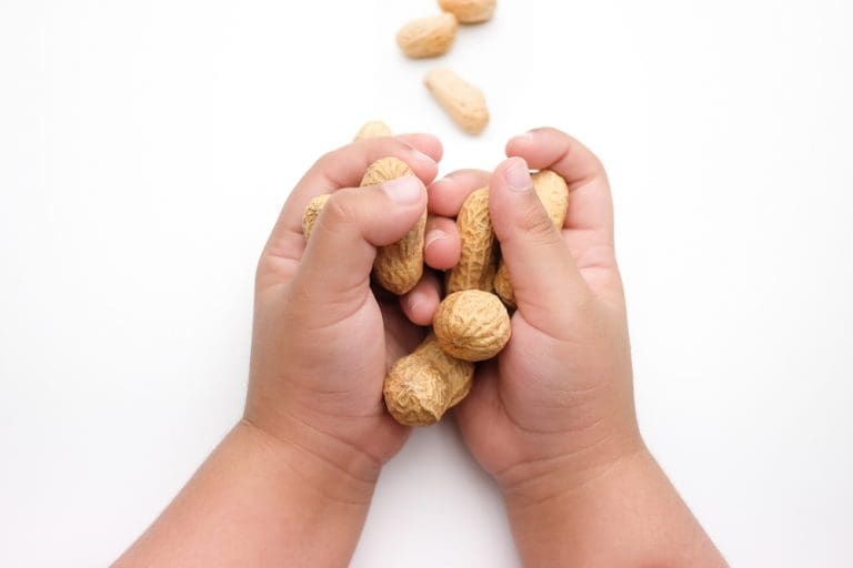 New treatment for peanut allergy in children New treatment for peanut allergy in children