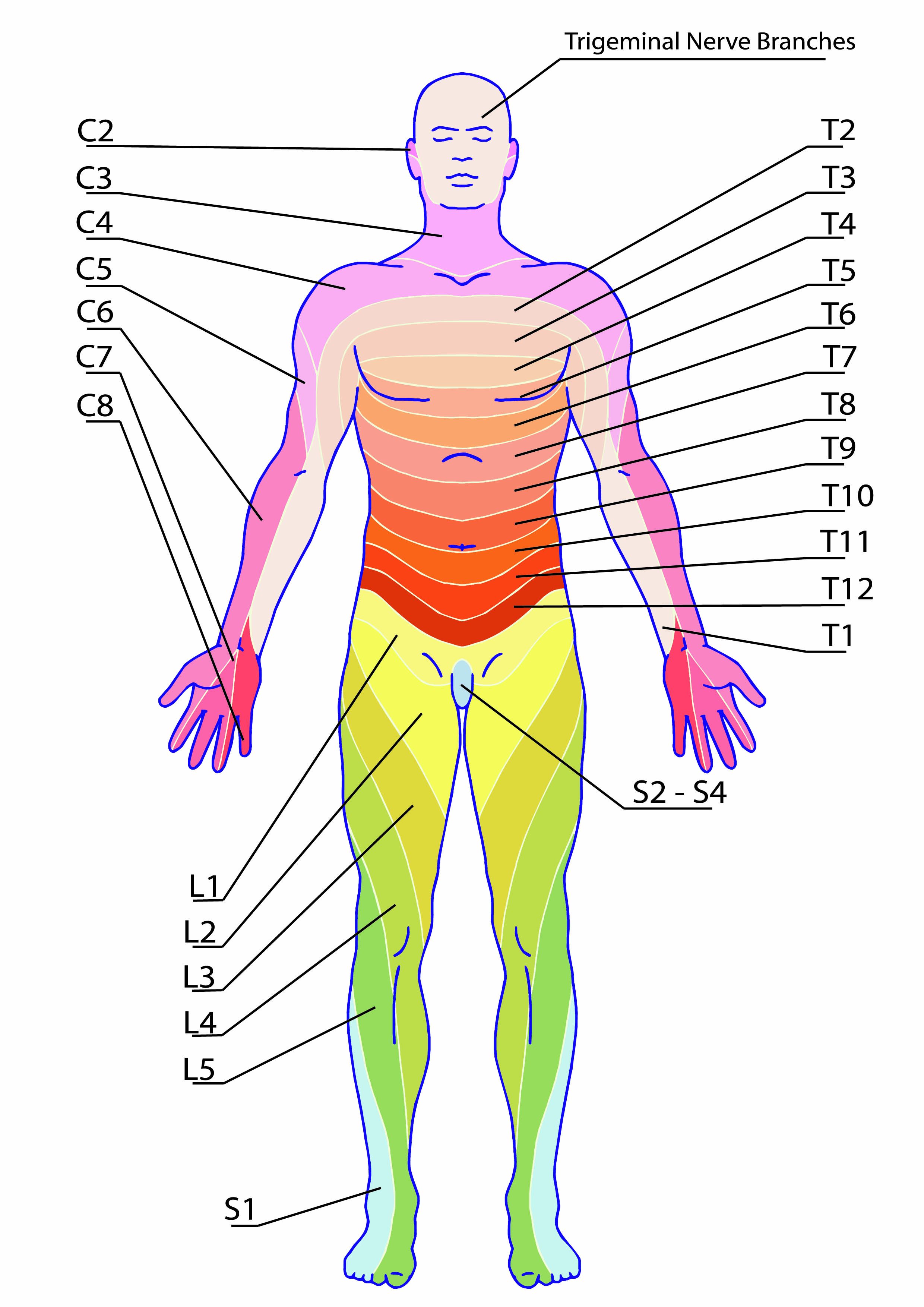 Referred Chart