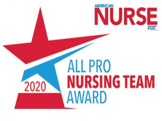 all pro nursing team award logo