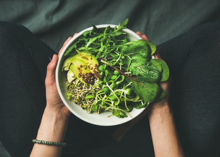 The relationship between a plant-based diet and aging The relationship between a plant-based diet and aging