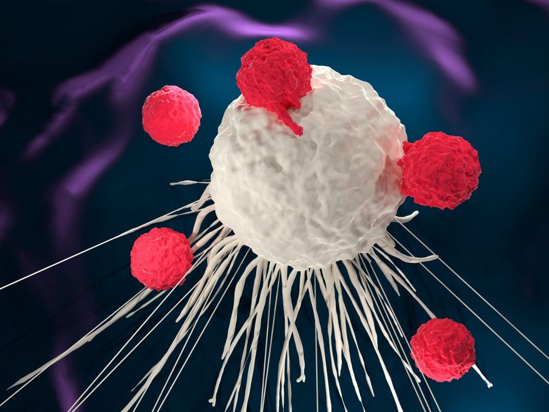 immunotherapy