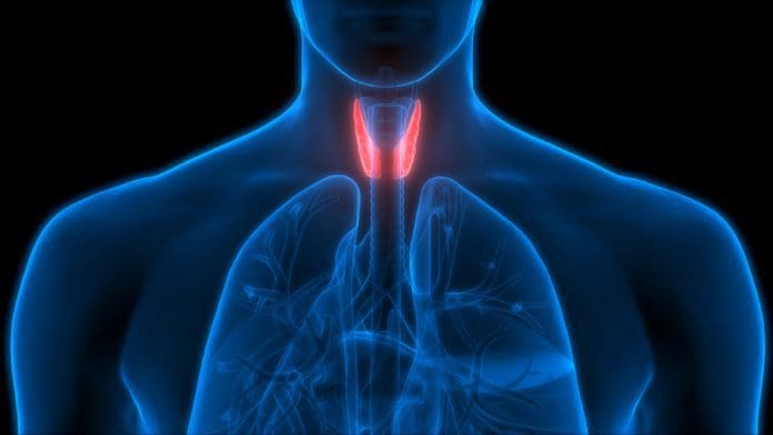 thyroids