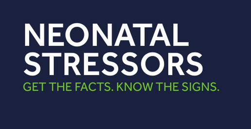 infographic_neonatal_stressors