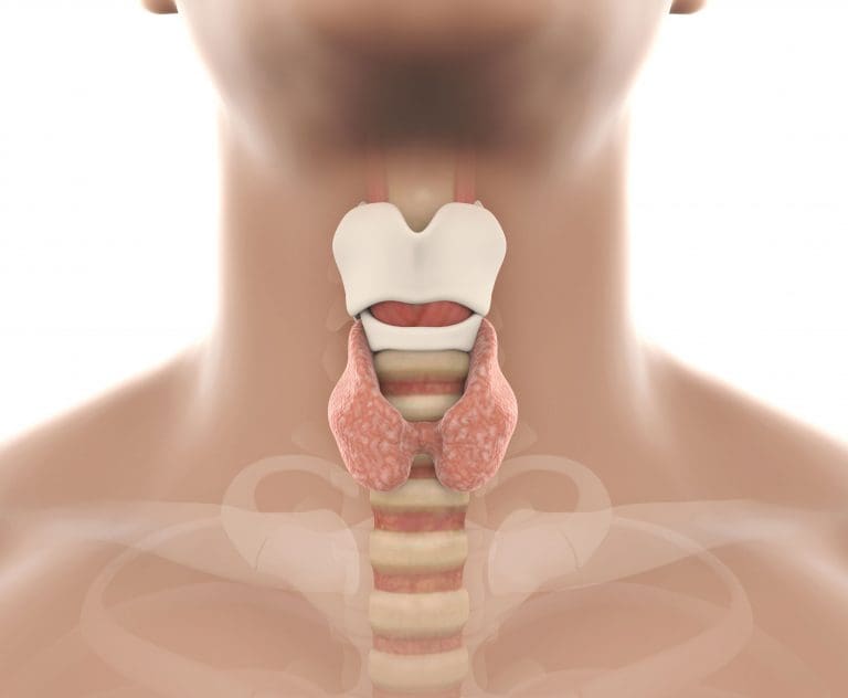 Primary hypothyroidism: More common than you think Primary hypothyroidism: More common than you think