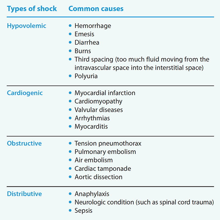 vasopressors-inotropes-icu-types-shock