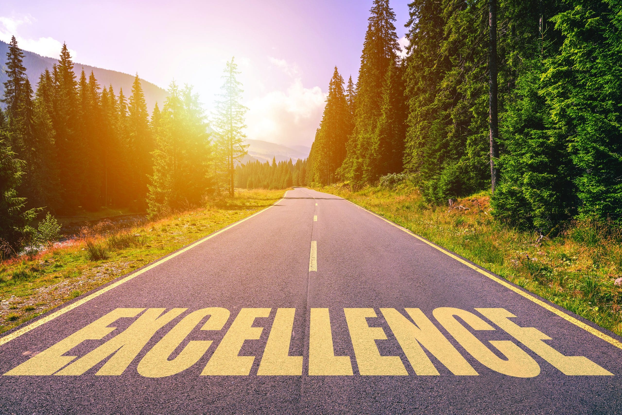 journey to excellence meaning