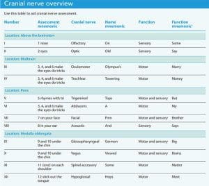 cranial nerve overview