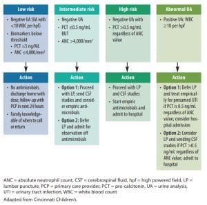 Fever of unknown source algorithm