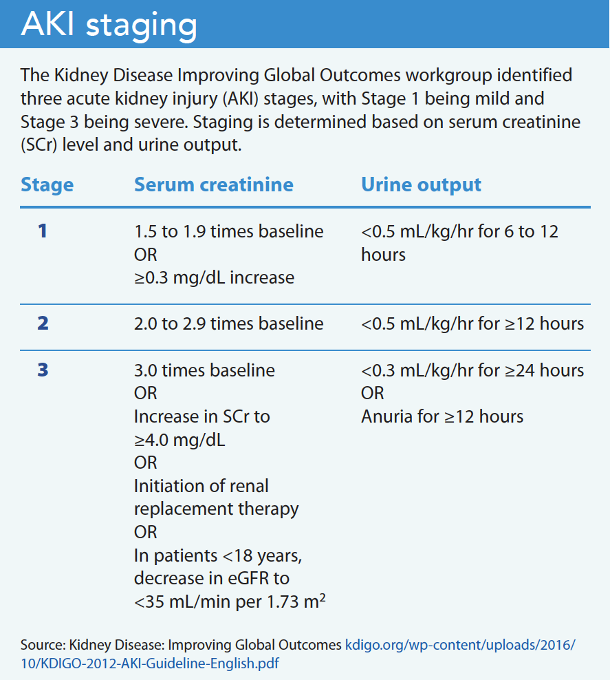 Acute Kidney Injury A Nursing Challenge